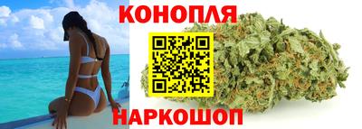крисы Краснодар