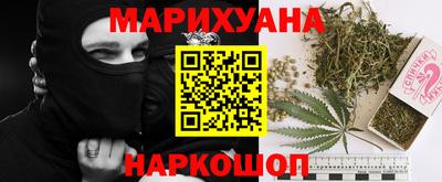 крисы Краснодар