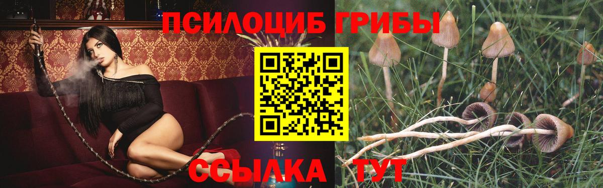 Галлюциногенные грибы Cubensis  Вход с VPN  Еманжелинск 
